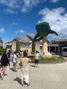 沖縄美ら海水族館に投稿された画像（2024/7/30）