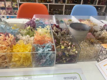 ずこうしつ〜sugamo〜に投稿された画像（2024/7/30）