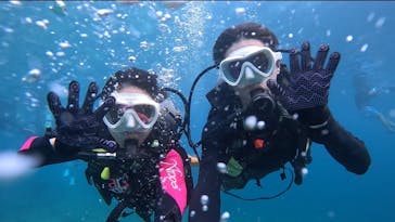 沖縄マリンサービス碧に投稿された画像（2024/7/30）