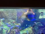大分マリーンパレス水族館 「うみたまご」に投稿された画像（2024/7/30）