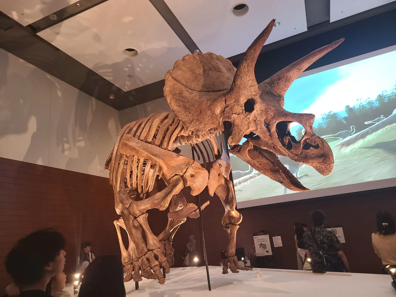 DinoScience 恐竜科学博 ～ララミディア大陸の恐竜物語～ 2024@OSAKAの
