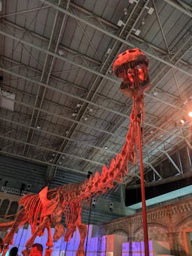 巨大恐竜展2024に投稿された画像（2024/7/30）