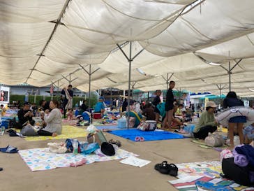 日本モンキーパークに投稿された画像（2024/7/30）