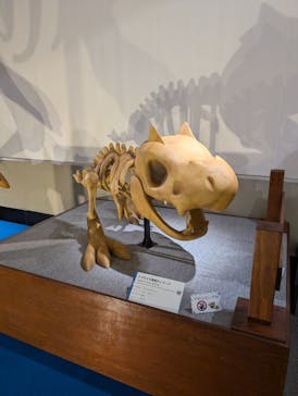 岐阜県博物館に投稿された画像（2024/7/30）