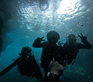 沖縄マリンサービス碧に投稿された画像（2024/7/30）