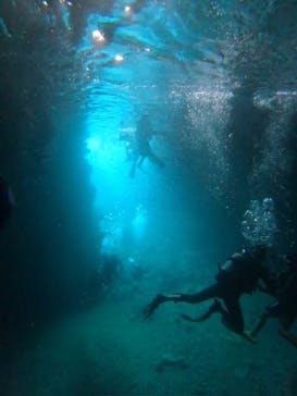 沖縄マリンサービス碧に投稿された画像（2024/7/30）