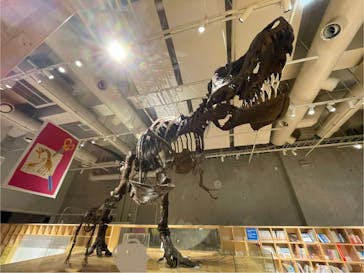 国立科学博物館に投稿された画像（2024/7/30）