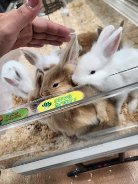 いきもの探検隊上尾に投稿された画像（2024/7/30）