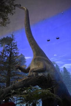 福井県立恐竜博物館に投稿された画像（2024/7/30）