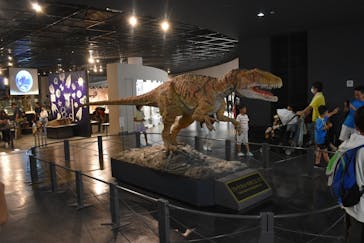 福井県立恐竜博物館に投稿された画像（2024/7/30）