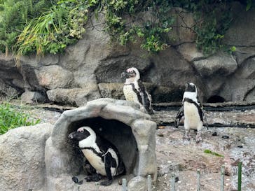 サンシャイン水族館に投稿された画像（2024/7/30）