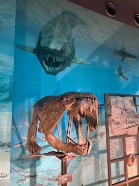 福井県立恐竜博物館に投稿された画像（2024/7/25）