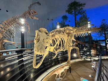 福井県立恐竜博物館に投稿された画像（2024/7/25）