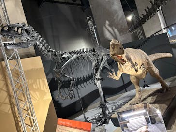 福井県立恐竜博物館に投稿された画像（2024/7/25）