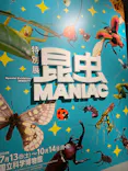 特別展「昆虫 MANIAC」（国立科学博物館）に投稿された画像（2024/7/30）