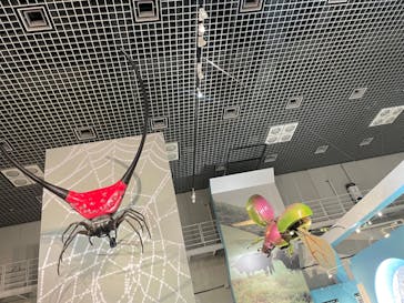 特別展「昆虫 MANIAC」（国立科学博物館）に投稿された画像（2024/7/30）