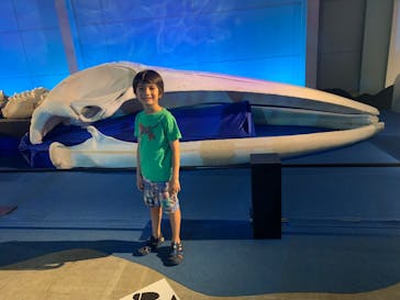 巨大恐竜展2024に投稿された画像（2024/7/30）