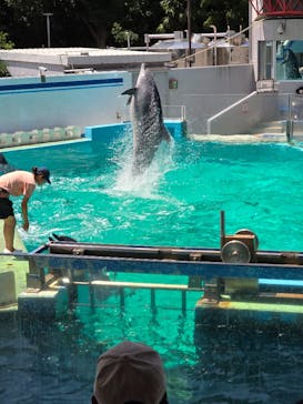 しながわ水族館に投稿された画像（2024/7/30）