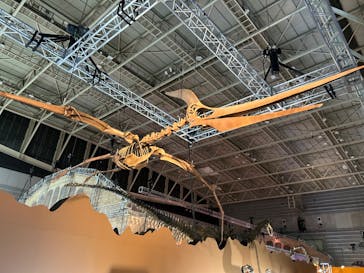 巨大恐竜展2024に投稿された画像（2024/7/30）