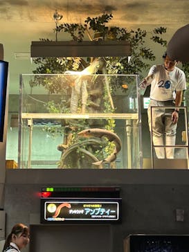 大分マリーンパレス水族館 「うみたまご」に投稿された画像（2024/7/30）