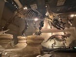 国立科学博物館に投稿された画像（2024/7/30）