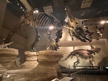 国立科学博物館に投稿された画像（2024/7/30）