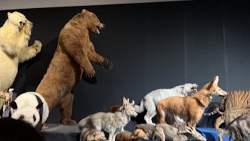 大哺乳類展に投稿された画像（2024/7/30）