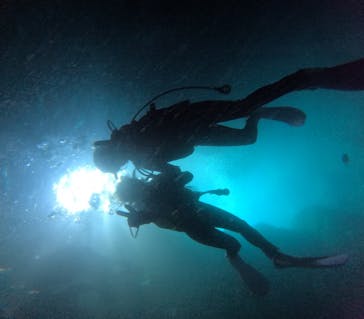 沖縄マリンサービス碧に投稿された画像（2024/7/30）