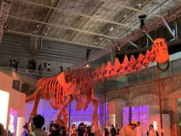 巨大恐竜展2024に投稿された画像（2024/7/30）