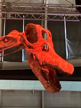 巨大恐竜展2024に投稿された画像（2024/7/30）