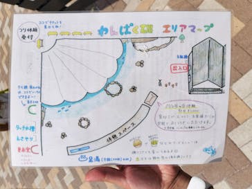 志摩市浜島磯体験施設 海ほおずきに投稿された画像（2024/7/30）