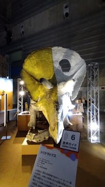 巨大恐竜展2024に投稿された画像（2024/7/30）