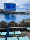 名古屋港水族館に投稿された画像（2024/7/30）