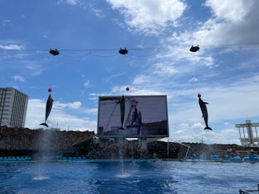 名古屋港水族館に投稿された画像（2024/7/30）