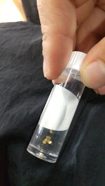 土肥金山に投稿された画像（2024/7/30）