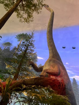 福井県立恐竜博物館に投稿された画像（2024/7/30）