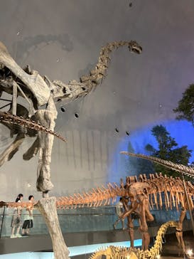 福井県立恐竜博物館に投稿された画像（2024/7/30）