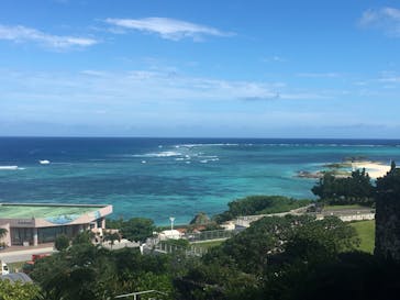沖縄美ら海水族館に投稿された画像（2024/7/30）