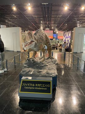 福井県立恐竜博物館に投稿された画像（2024/7/30）