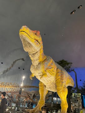 福井県立恐竜博物館に投稿された画像（2024/7/30）
