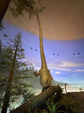 福井県立恐竜博物館に投稿された画像（2024/7/30）