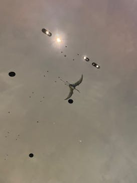 福井県立恐竜博物館に投稿された画像（2024/7/30）