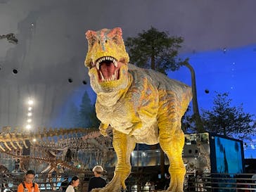 福井県立恐竜博物館に投稿された画像（2024/7/30）