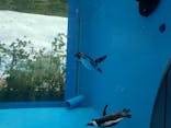 サンシャイン水族館に投稿された画像（2024/7/30）