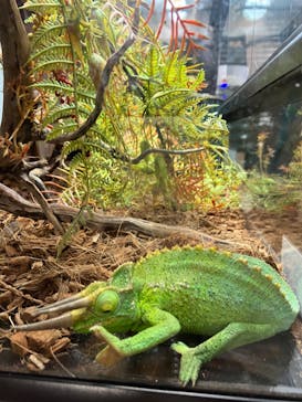 NARA IKIMONO MUSEUMに投稿された画像（2024/7/30）