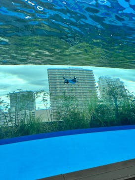 サンシャイン水族館に投稿された画像（2024/7/30）