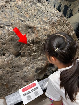 岐阜県博物館に投稿された画像（2024/7/30）