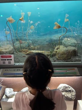 岐阜県博物館に投稿された画像（2024/7/30）