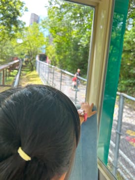 岐阜県博物館に投稿された画像（2024/7/30）