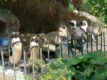 サンシャイン水族館に投稿された画像（2024/7/30）